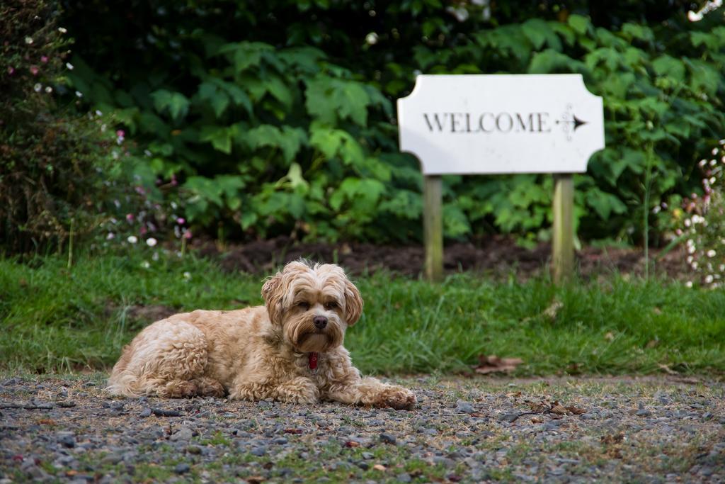 ホテル Ugbrooke Country Estate Lower Dashwood エクステリア 写真